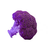 Purple Glow-in-the-dark Broccoli